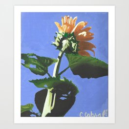 Sunflower-12 Art Print