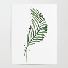 Palm Leaf Illustration Poster