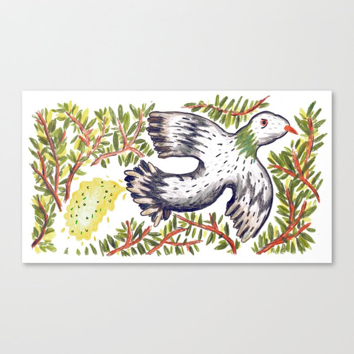 Lola the Pigeon Canvas Print
