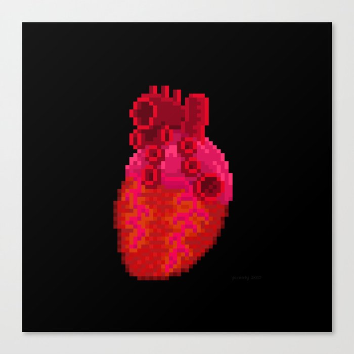 Anatomical Heart Canvas Print