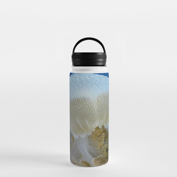 fish Water Bottle