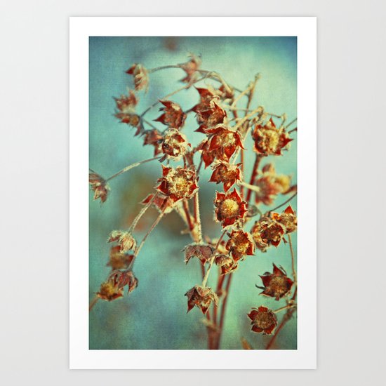 winter secrets Art Print