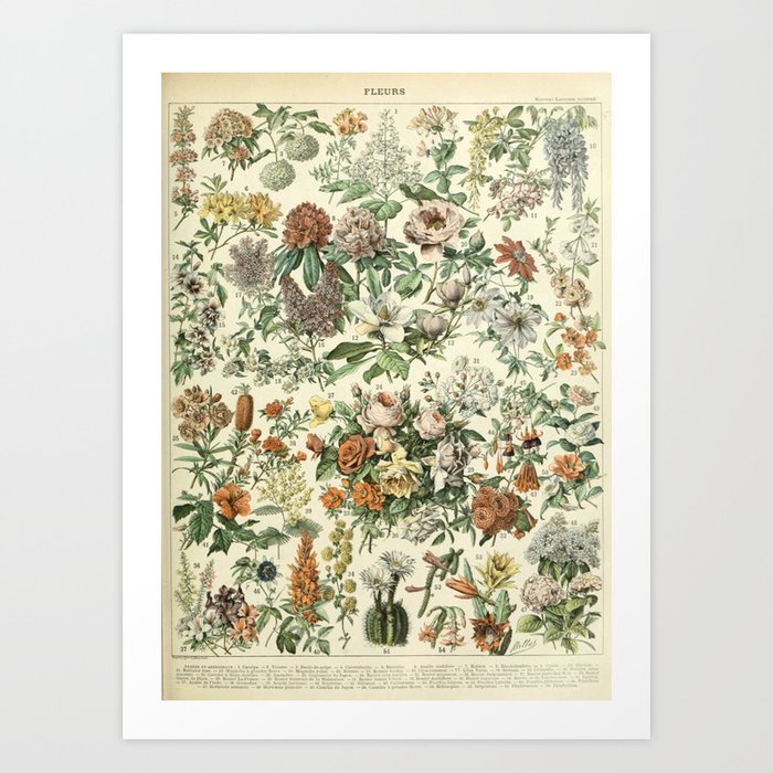 Fleurs by Adolphe Millot Art Print