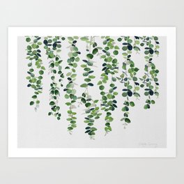 Eucalyptus Garland  Art Print