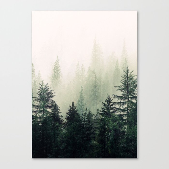 Foggy Pine Trees Canvas Print