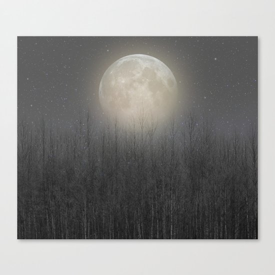 The Moon Shines Bright II Canvas Print