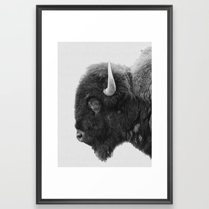 buffalo profile Framed Art Print