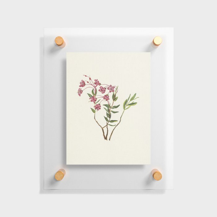 Pink Flowers Floating Acrylic Print