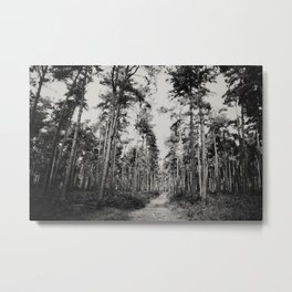 the path through the forest ... Metal Print | Woodlandphotograph, Woodlanddecor, Travelprint, Photo, Forestprint, Black And White, Woodlandart, Leavesphotograph, Englishwoodland, Forestphotography 