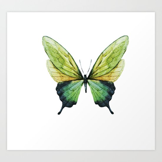 Butterfly 01 Art Print