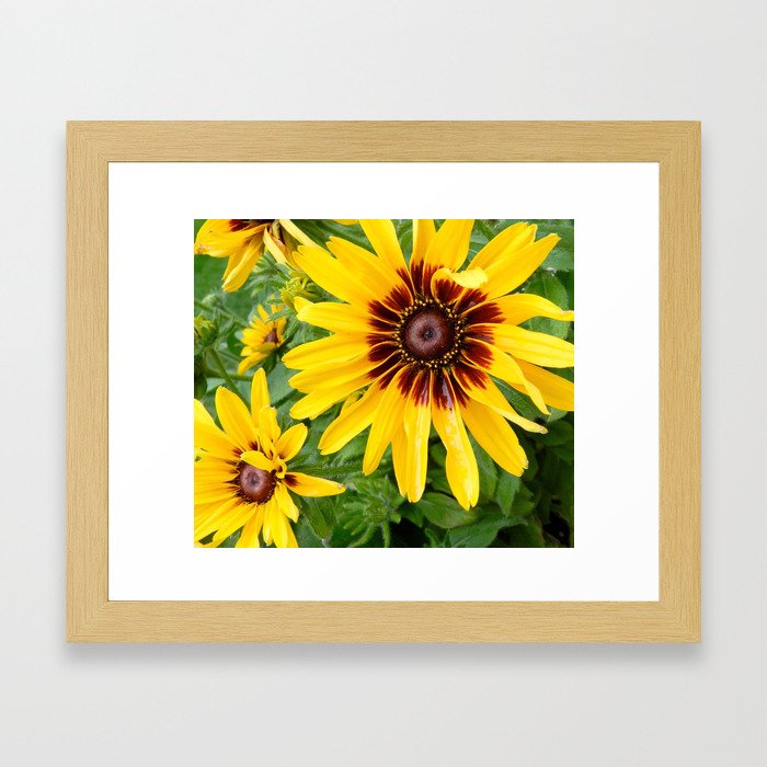 Sunshine Flower Framed Art Print