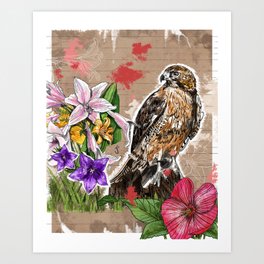 Hawk-eyed Art Print