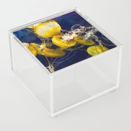 The PCH Acrylic Box