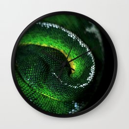 Green Snake Wall Clock