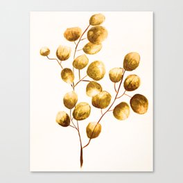 Eucalyptus plant, botanical, mustard Canvas Print
