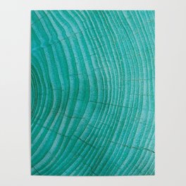 Turquoise wood Poster