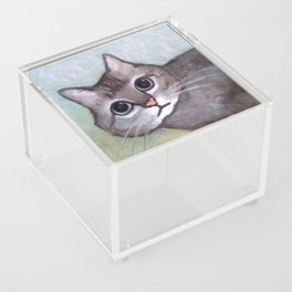 Abu Meow Meow Acrylic Box