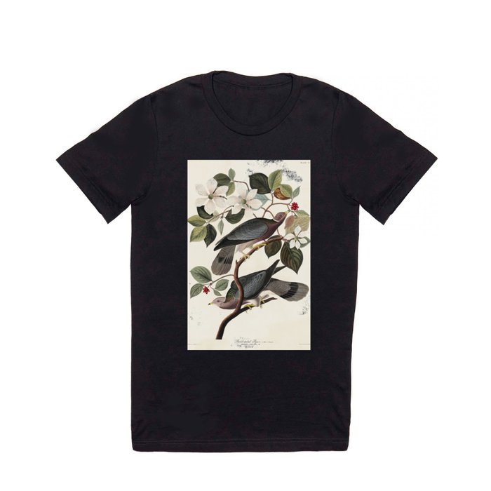 Band-tailed Pigeon from Birds of America (1827) by John James Audubon  T Shirt