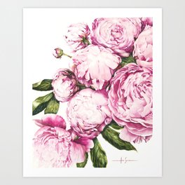 Peonies Art Print