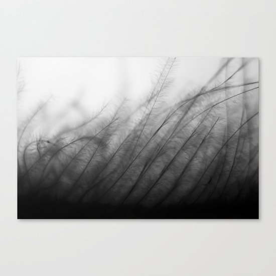 Gentle Grass Canvas Print