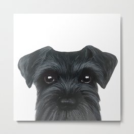 New Black Schnauzer, Dog illustration original painting print Metal Print | Puppy, Blackandwhite, Animal, Cute, Shop, Popart, Cartoon, Veterinarian, Schnauzer, Painting 