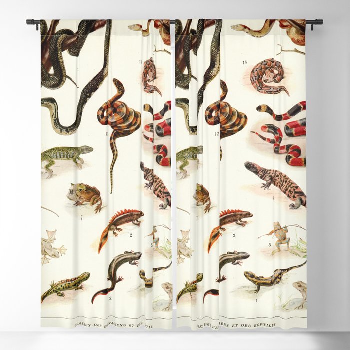Adolphe Millot - Batraciens et reptiles - French vintage zoology poster Blackout Curtain
