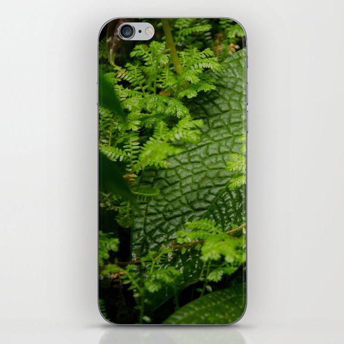 Nature iPhone Skin