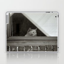 Cat in Window I Laptop Skin