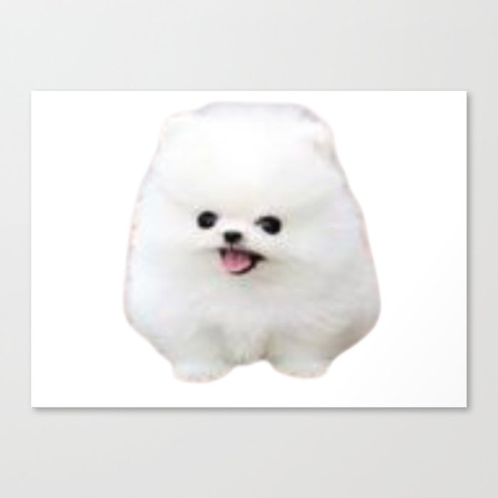 White Adorable Puppy Dog Like A CLoud Canvas Print