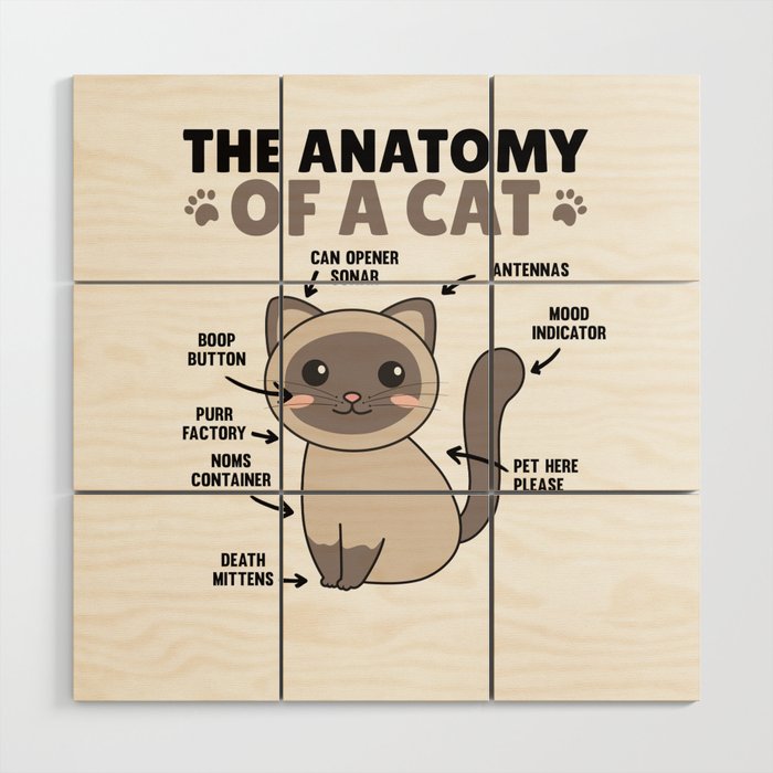The Anatomy Of A Cat Funny Explanation Of A Cat Wood Wall Art