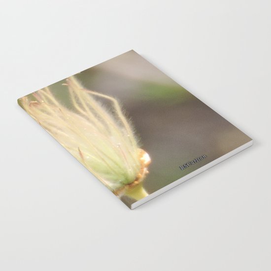 Apache Plume Notebook