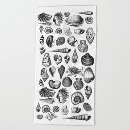 Vintage Sea Shell Drawing Black And White Beach Towel
