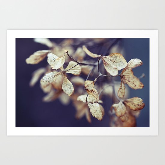 Nostalgic Nature Art Print