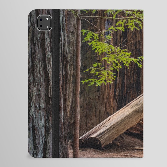 Redwoods National Park Prints iPad Folio Case