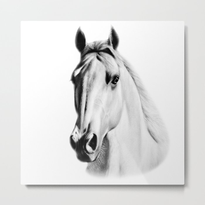 White Horse Metal Print