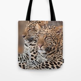 South Africa Photography - Two Beautiful Leopards Tote Bag