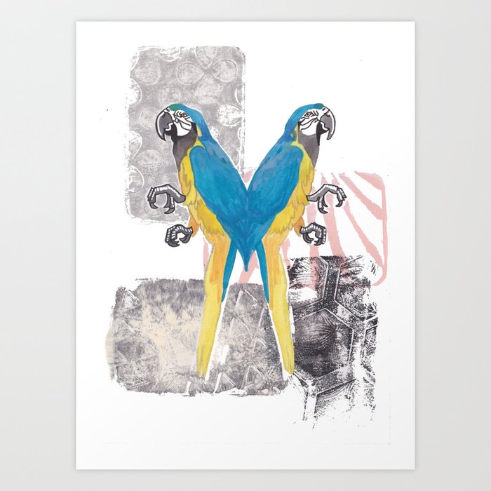 Siamese Macaw Art Print