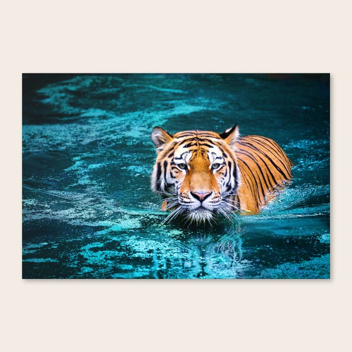 Tiger in Water Canvas Print by iconicole | Society6