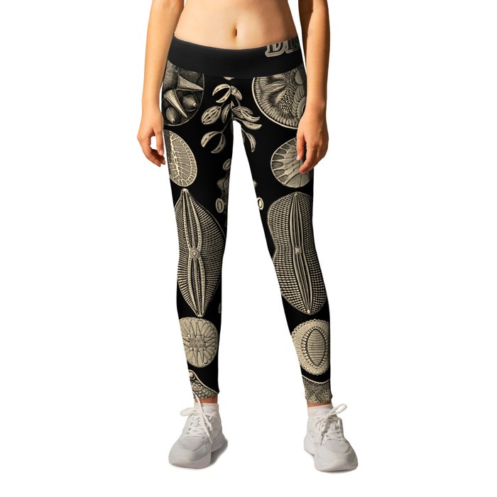 “Diatomea” from “Art Forms of Nature” by Ernst Haeckel Leggings