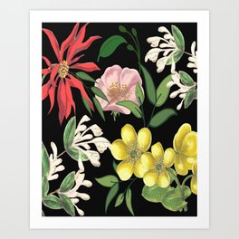 Tropical Botanical Flowers, Foliage and Leaves Art Print
