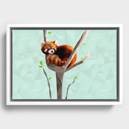 Red Panda Framed Canvas