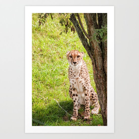 Hey Kitty Art Print