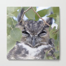 Watercolor Bird, Great Horned Owl 07, Estes Park, Colorado Metal Print