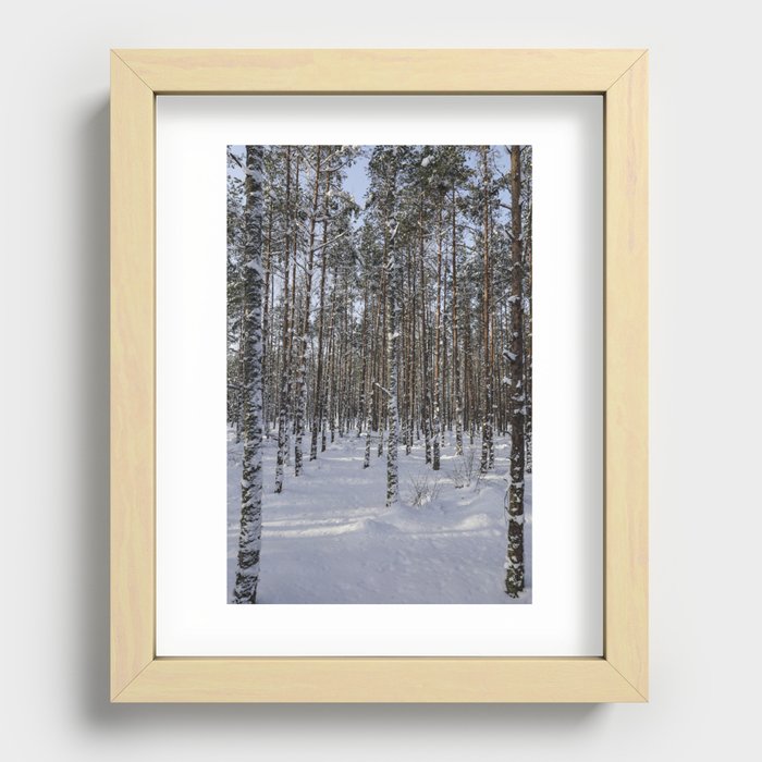 Woods in snow Recessed Framed Print