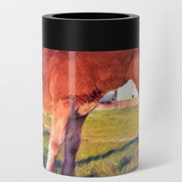 Colorful summer Brown horse foal pasture in the countryside at golden hour Can Cooler