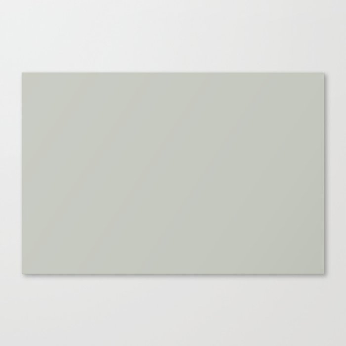 Pastel Mint Green Gray Solid Color Pairs PPG Silent Storm PPG1033-3 - All One Single Shade Colour Canvas Print