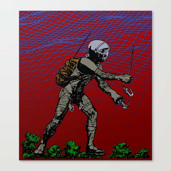 In Martian Fields Canvas Print