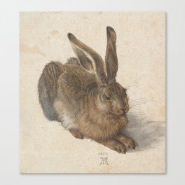 Albrecht Dürer - Young Hare Canvas Print
