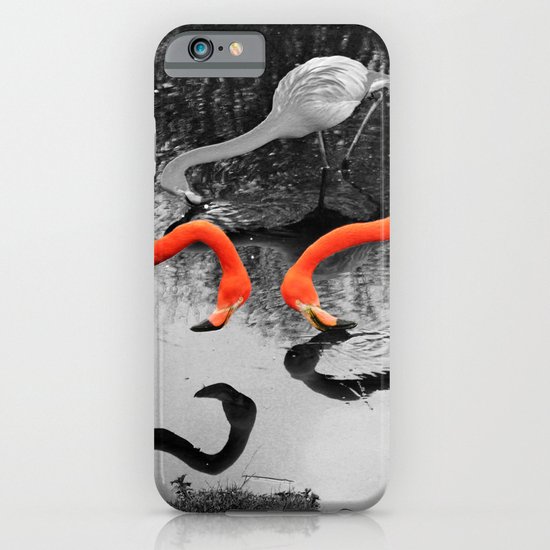 Matthew Cole Photography iPhone & iPod Case