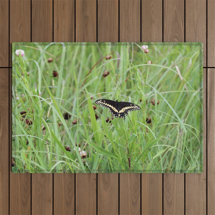 Black Swallowtail Butterfly in the Grass Outdoor Rug